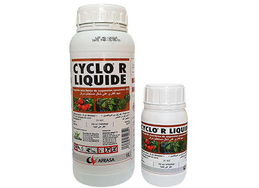 elkhadra-cyclo-r-liquide