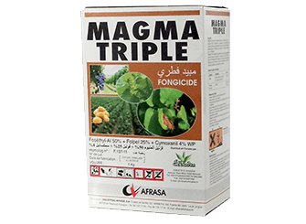 elkhadra-magma-triple